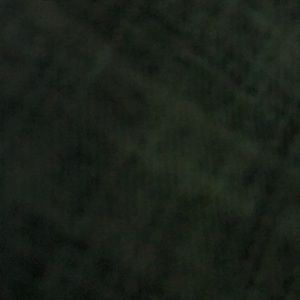 Meet your Posher, Leo